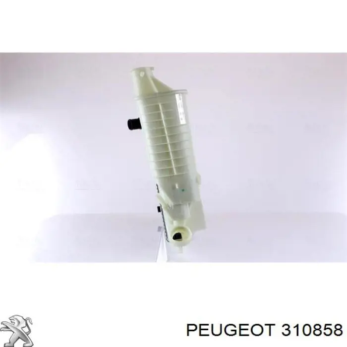  310858 Peugeot/Citroen