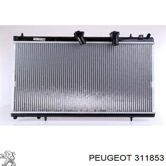 311853 Peugeot/Citroen 