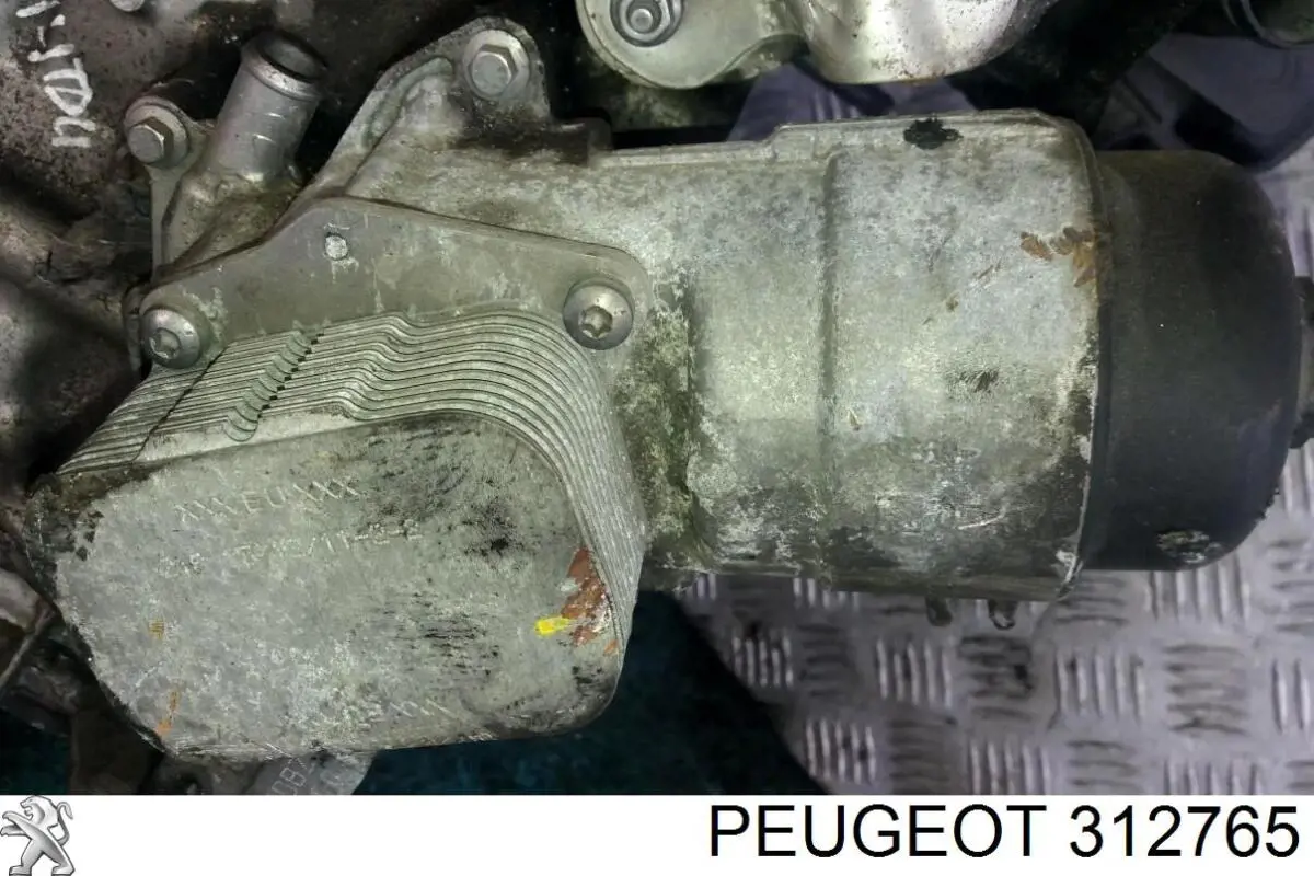 312765 Peugeot/Citroen 