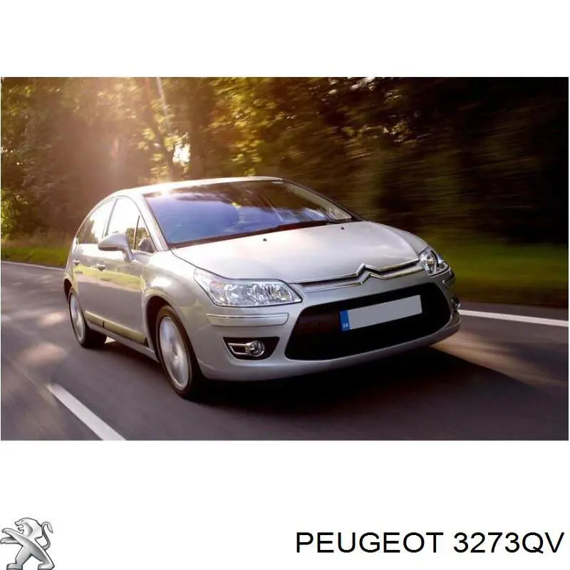 3273QV Peugeot/Citroen