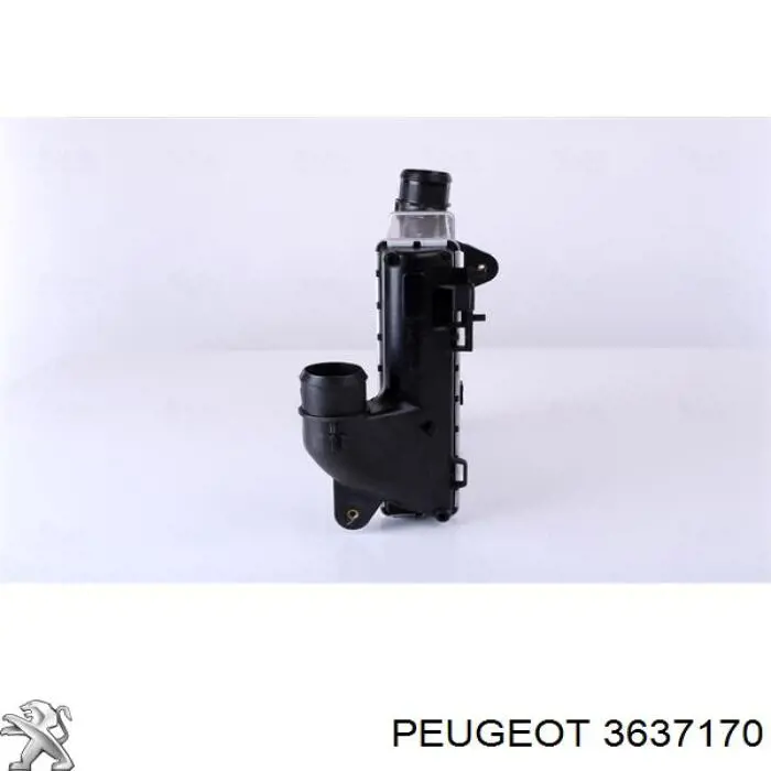 3637170 Peugeot/Citroen Охладитель наддувочного воздуха