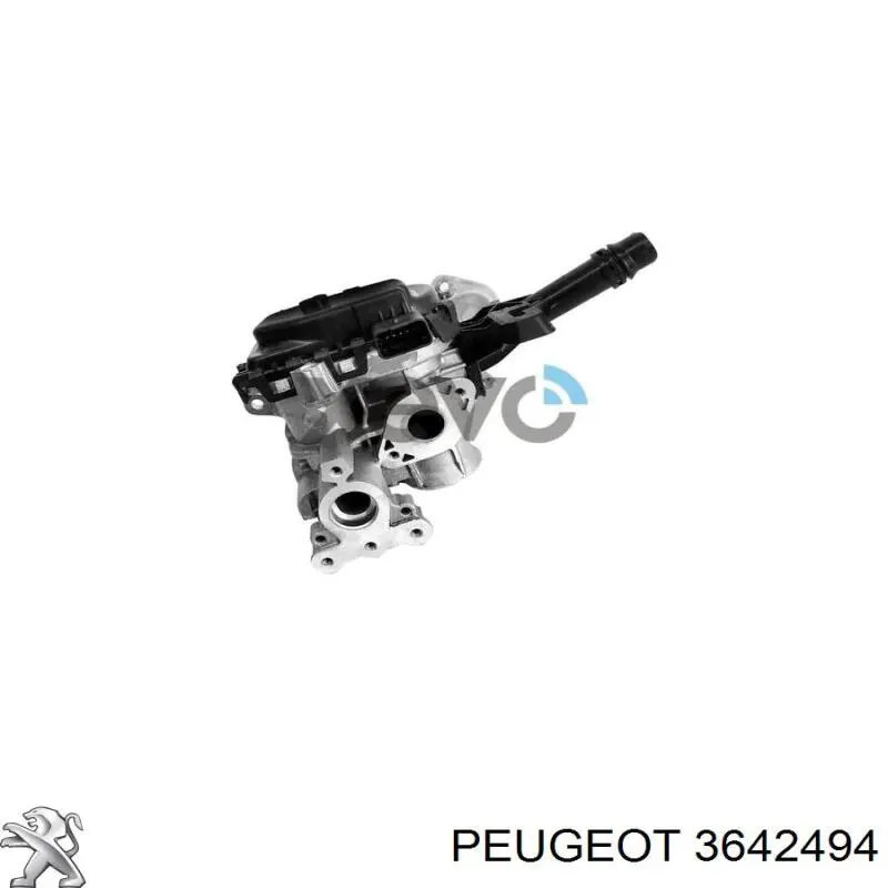 Válvula, AGR 3642494 Peugeot/Citroen