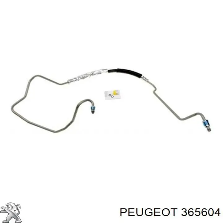 Купить 365604 Peugeot/Citroen Корпус поворотного кулака переднего левого