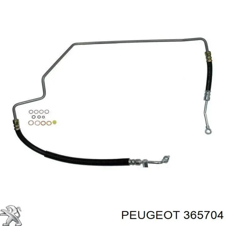 Купить 365704 Peugeot/Citroen Корпус поворотного кулака переднего правого