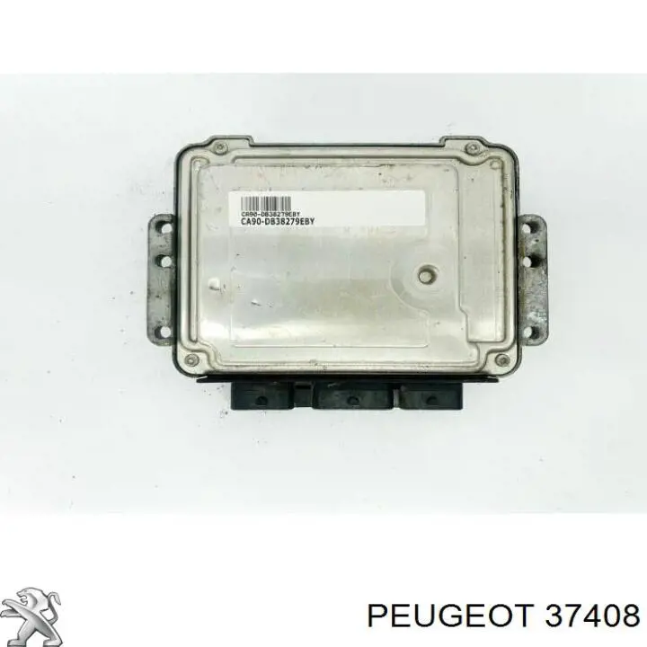 211956 FA1 