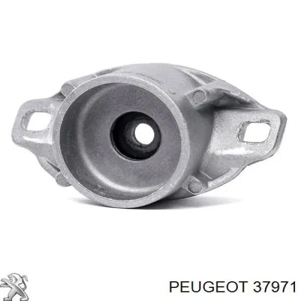 037971 Peugeot/Citroen 
