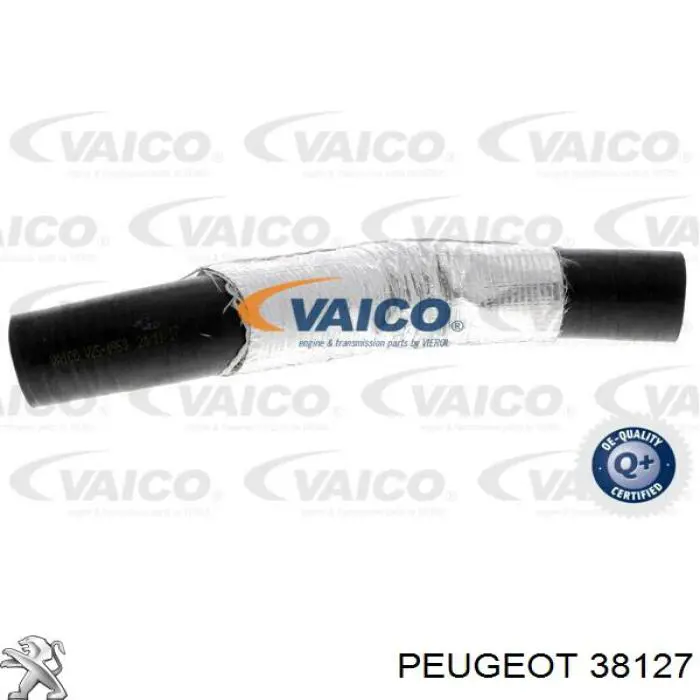 38127 Peugeot/Citroen tubo (mangueira de derivação de óleo de turbina)