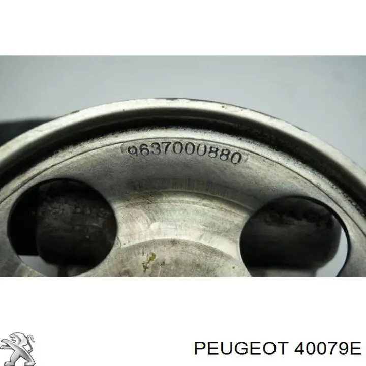 Купить 40079E Peugeot/Citroen Насос рулевого управления