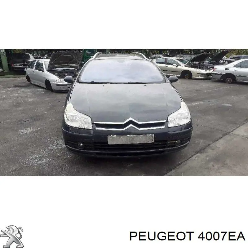 Насос гидроусилителя руля Peugeot/Citroen 4007EA