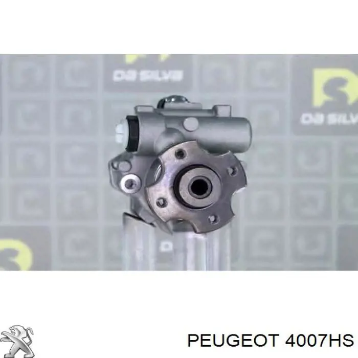 00004007HS Peugeot/Citroen bomba da direção hidrâulica assistida