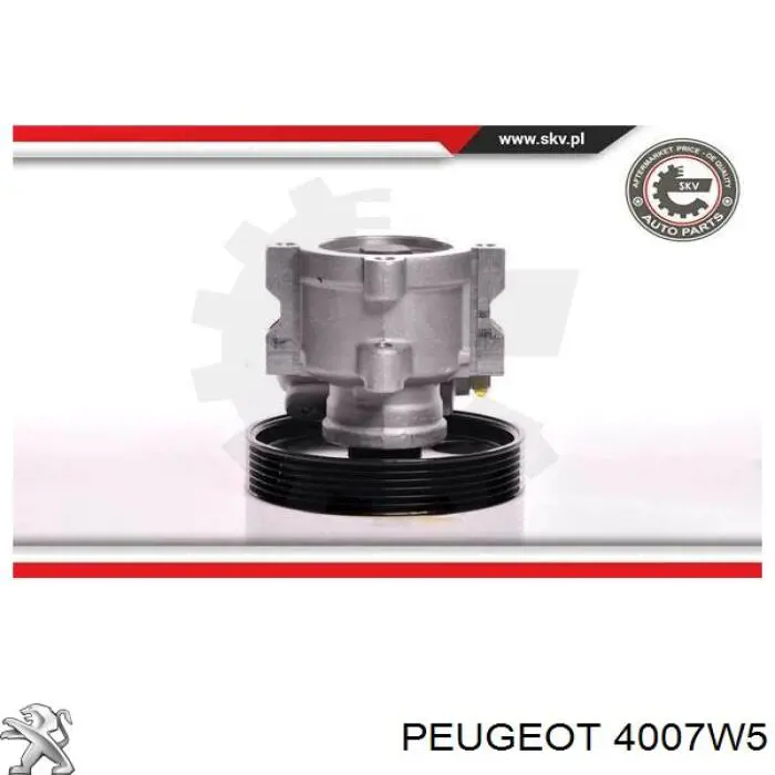 Купить 4007W5 Peugeot/Citroen Насос рулевого управления