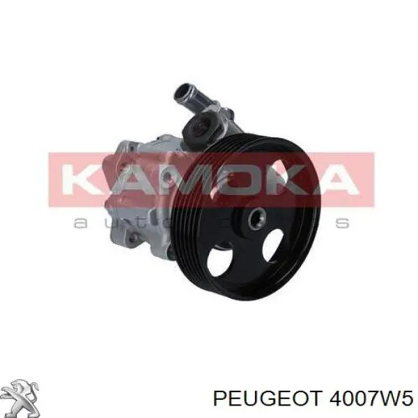 Насос ГУР 4007W5 Peugeot/Citroen