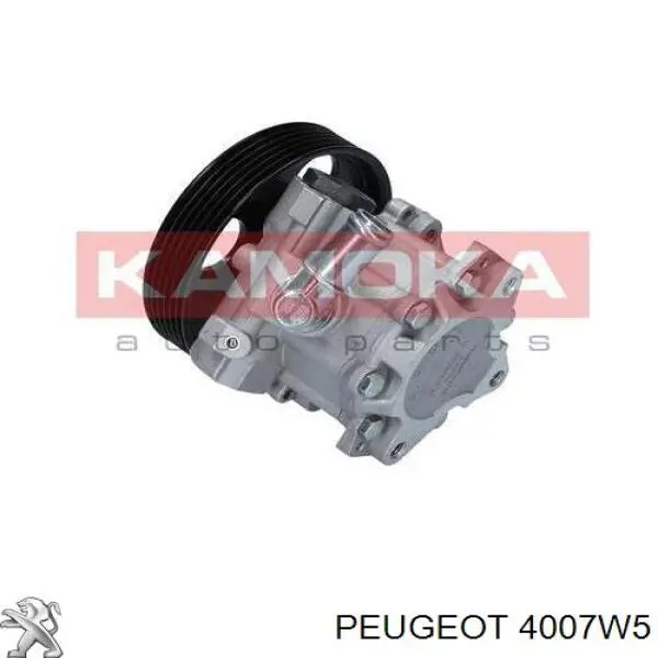 Насос гидроусилителя руля Peugeot/Citroen 4007W5