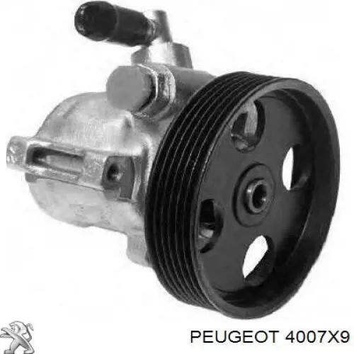Насос гидроусилителя руля Peugeot/Citroen 4007X9