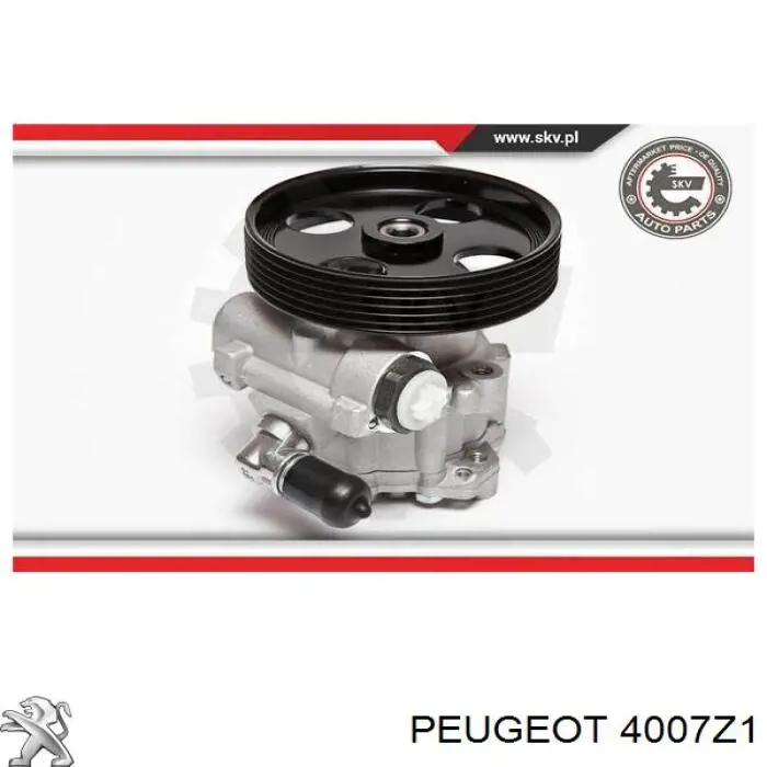 Купить 4007Z1 Peugeot/Citroen Насос рулевого управления