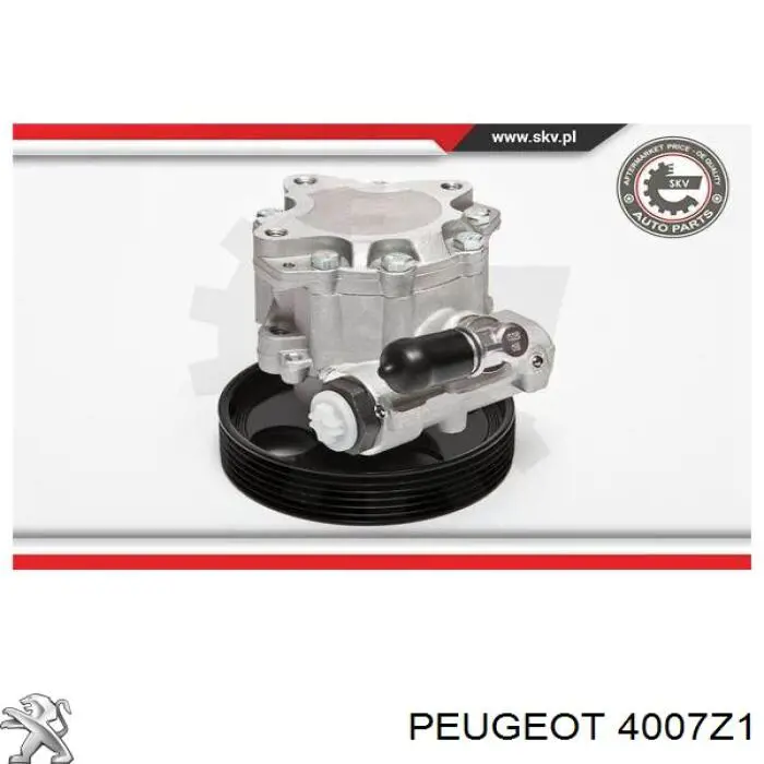 Насос гидроусилителя руля Peugeot/Citroen 4007Z1