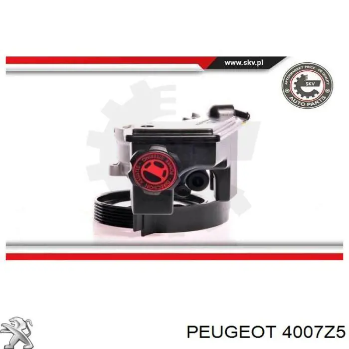 Купить 4007Z5 Peugeot/Citroen Насос рулевого управления