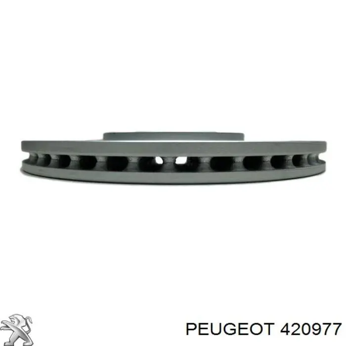 Кожух тормозного диска заднего Daco 612802