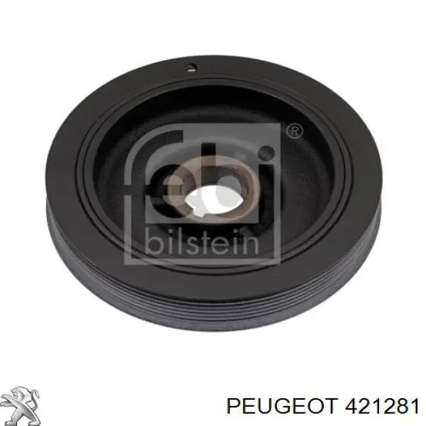 Защита тормозного диска заднего правая 421281 Peugeot/Citroen