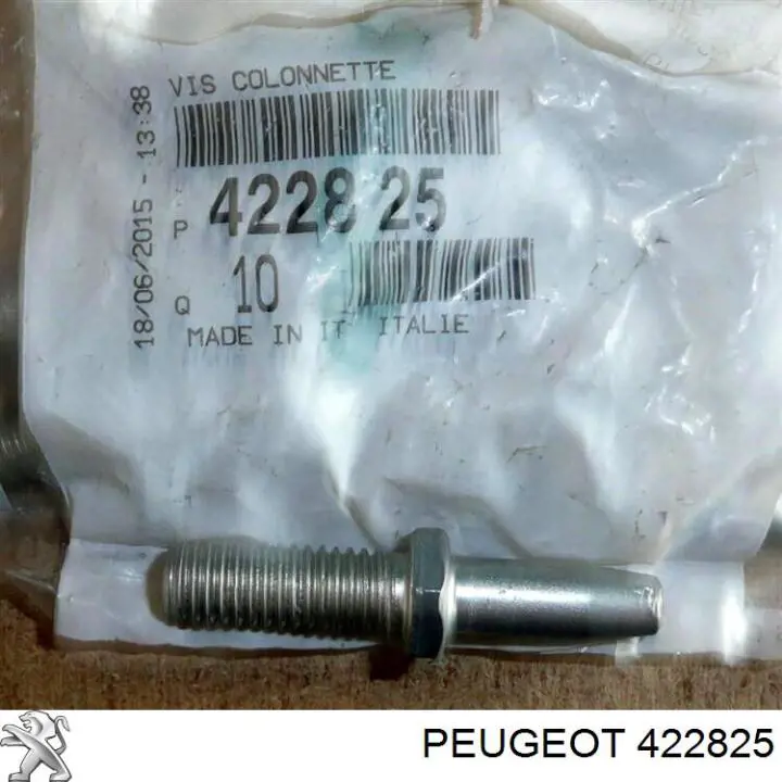 422825 Peugeot/Citroen parafuso do freio de disco
