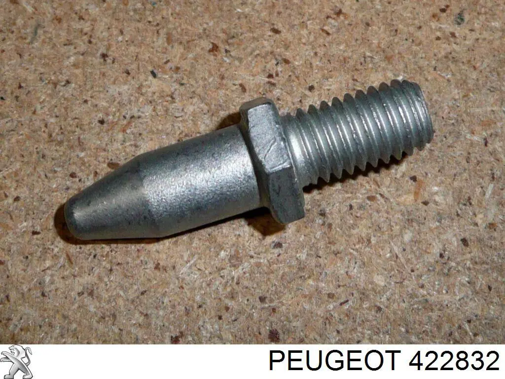 Болт гальмівного диска 422832 Peugeot/Citroen