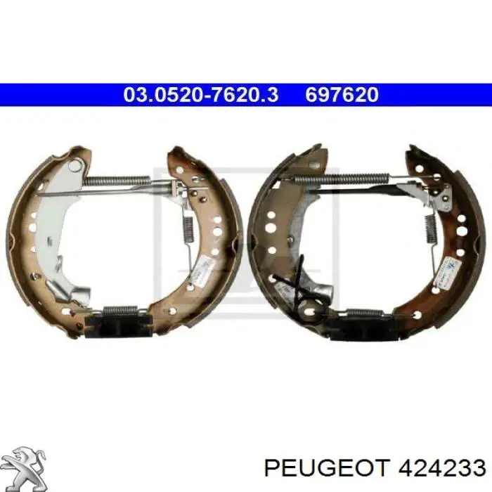 Задние барабанные колодки 55000622 Ashika