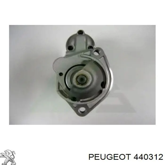 440312 Peugeot/Citroen