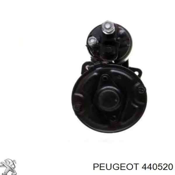 Tornillo de pinza de freno 440520 Peugeot/Citroen
