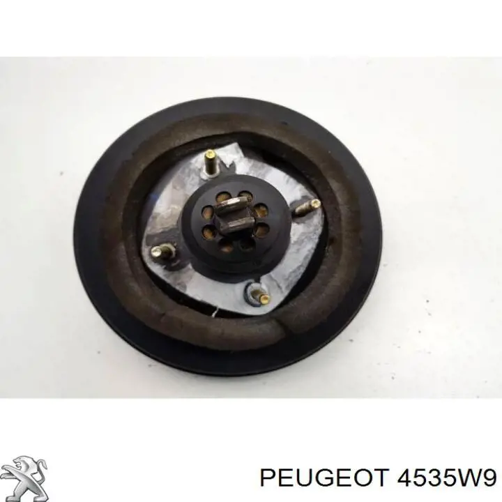 Купить 9647269580 Peugeot/Citroen ВУТ