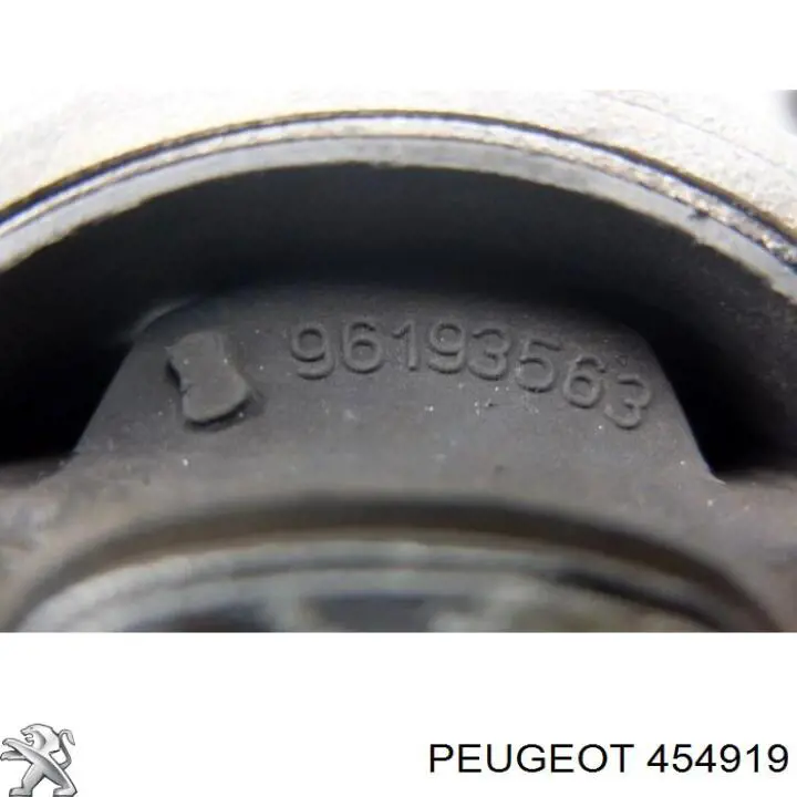 Кольцо антиблокировочной системы Peugeot/Citroen 454919