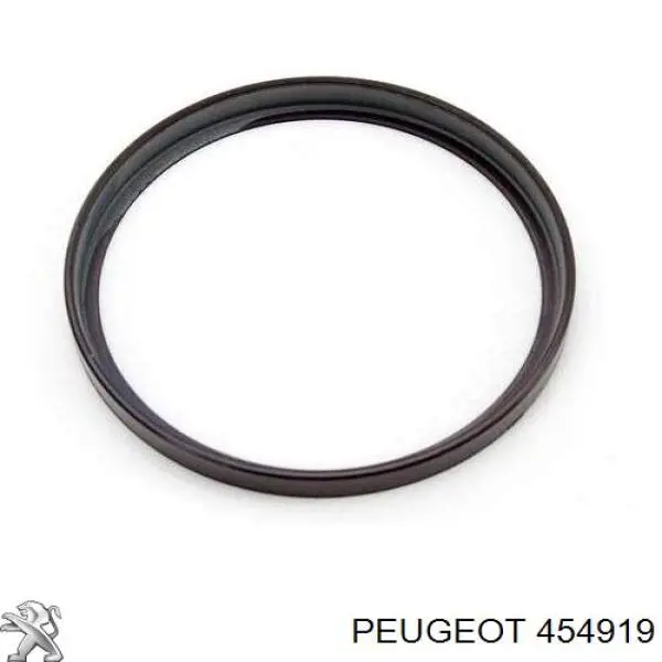 454919 Peugeot/Citroen anel de abs