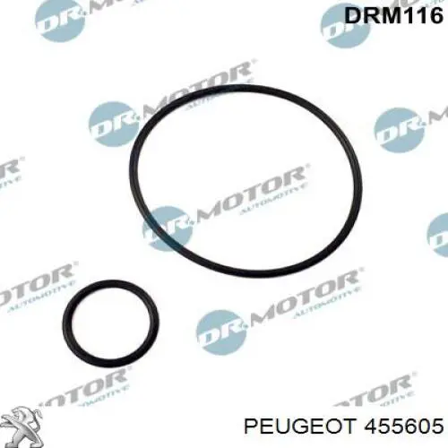 Прокладка вакуумного насоса Peugeot/Citroen 455605 цена, от 3.51 USD
