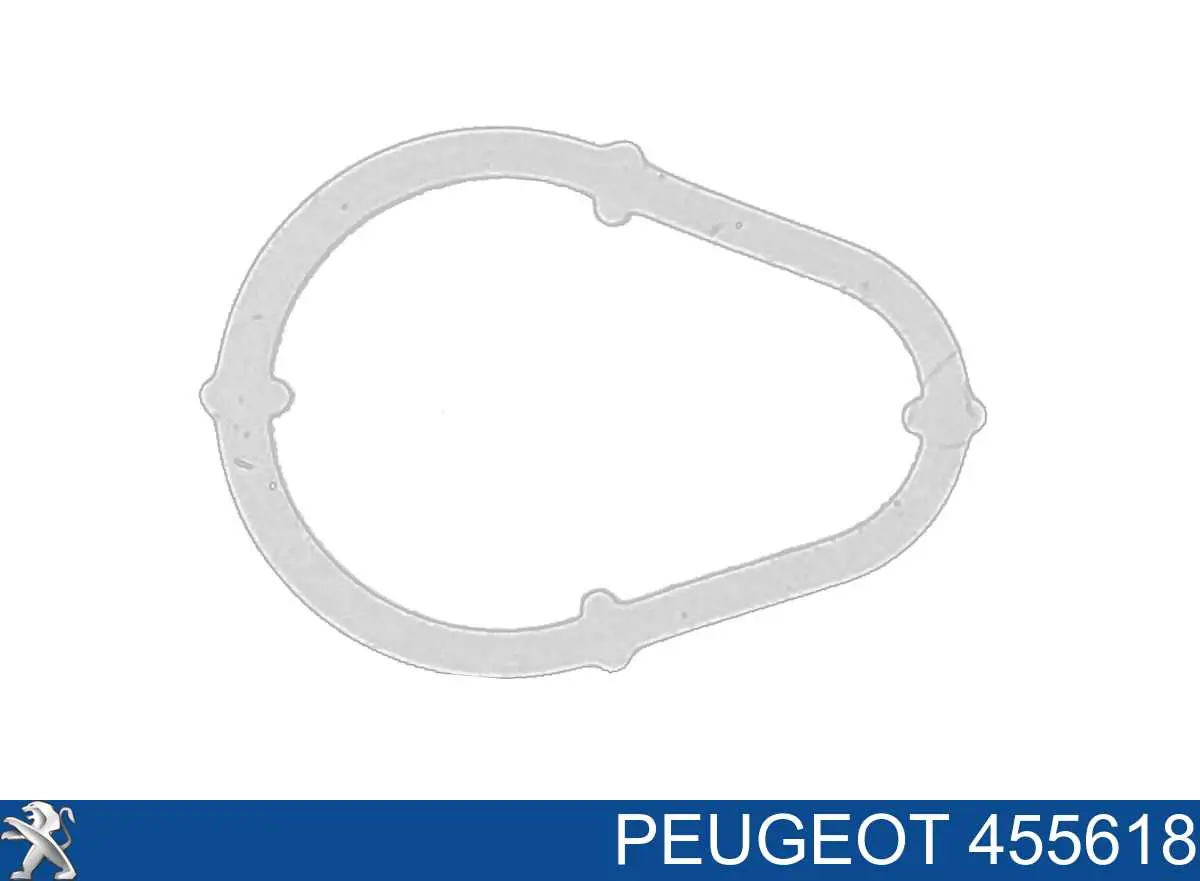 Прокладка вакуумного насоса на Peugeot 206 2A/C