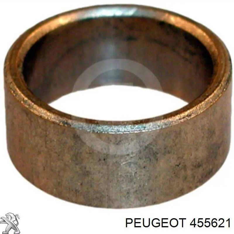 455621 Peugeot/Citroen bucim de bomba de vácuo