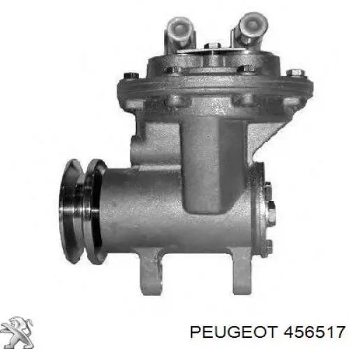 Купить 456517 Peugeot/Citroen Вакуумный насос