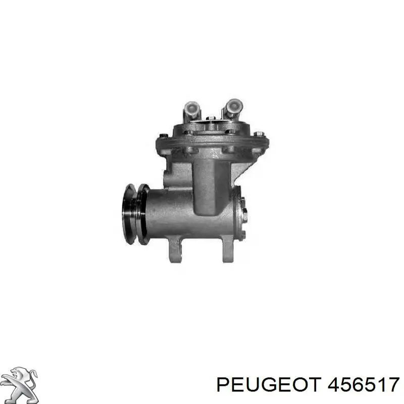 Вакуумный насос 456517 Peugeot/Citroen