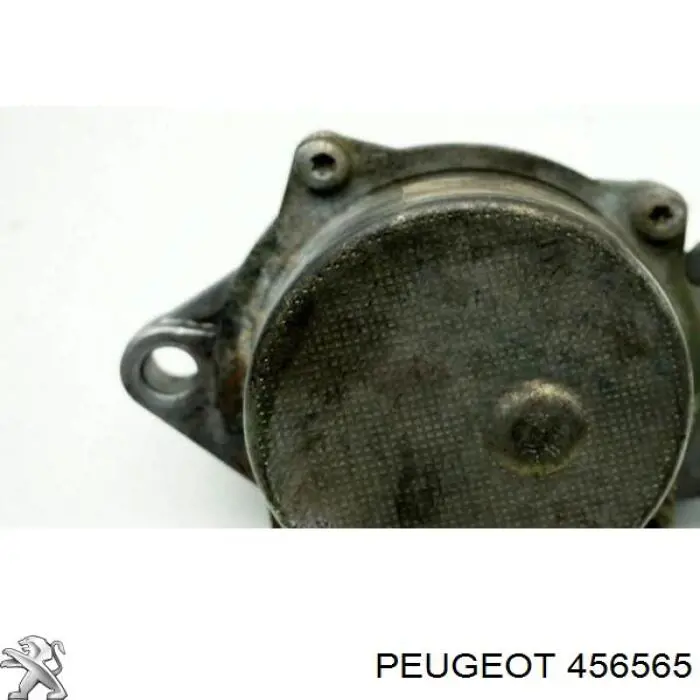 Вакуумный насос 456565 Peugeot/Citroen