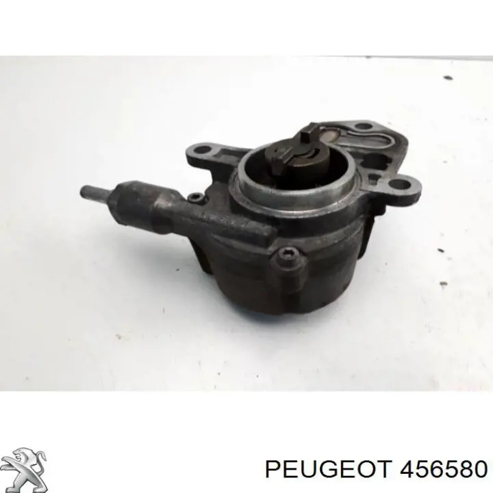Вакуумный насос 456580 Peugeot/Citroen