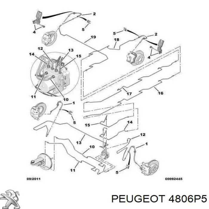 Tubo flexible de frenos trasero 4806P5 Peugeot/Citroen