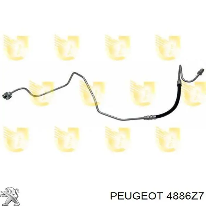 Tubo flexible de frenos trasero derecho 4886Z7 Peugeot/Citroen