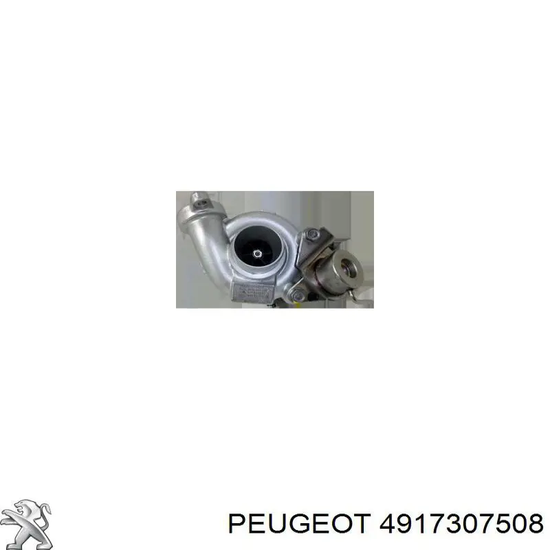 4917307508 Peugeot/Citroen турбина