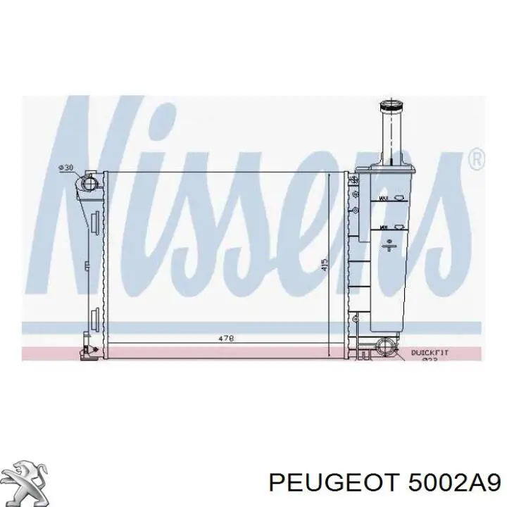 5002A9 Peugeot/Citroen mola dianteira