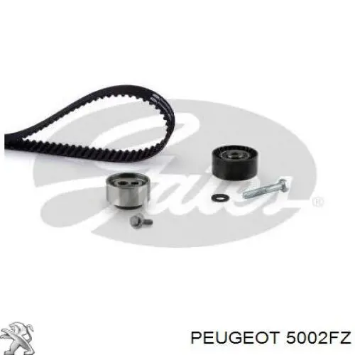 Передняя пружина 5002FZ Peugeot/Citroen