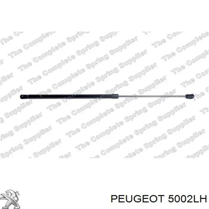 Пружина амортизатора передняя Peugeot/Citroen 5002LH цена, от 44.43 USD