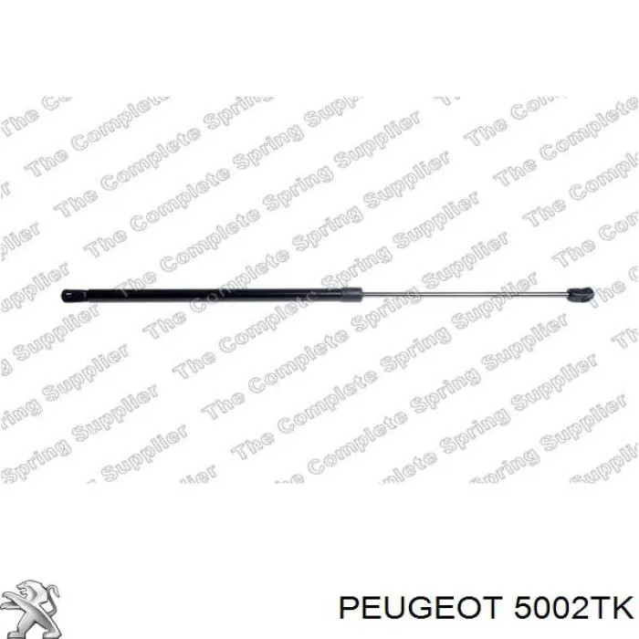 Купить 5002TK Peugeot/Citroen Винтовая пружина подвеска