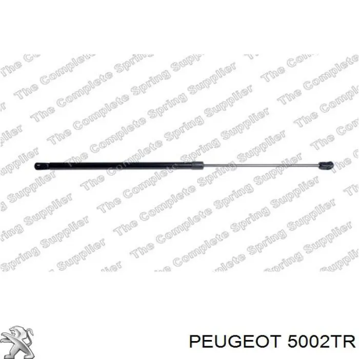 Пружина амортизатора передняя Peugeot/Citroen 5002TR цена, от 28.45 USD