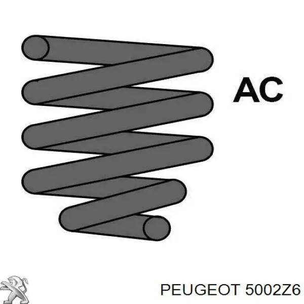  5002Z6 Peugeot/Citroen