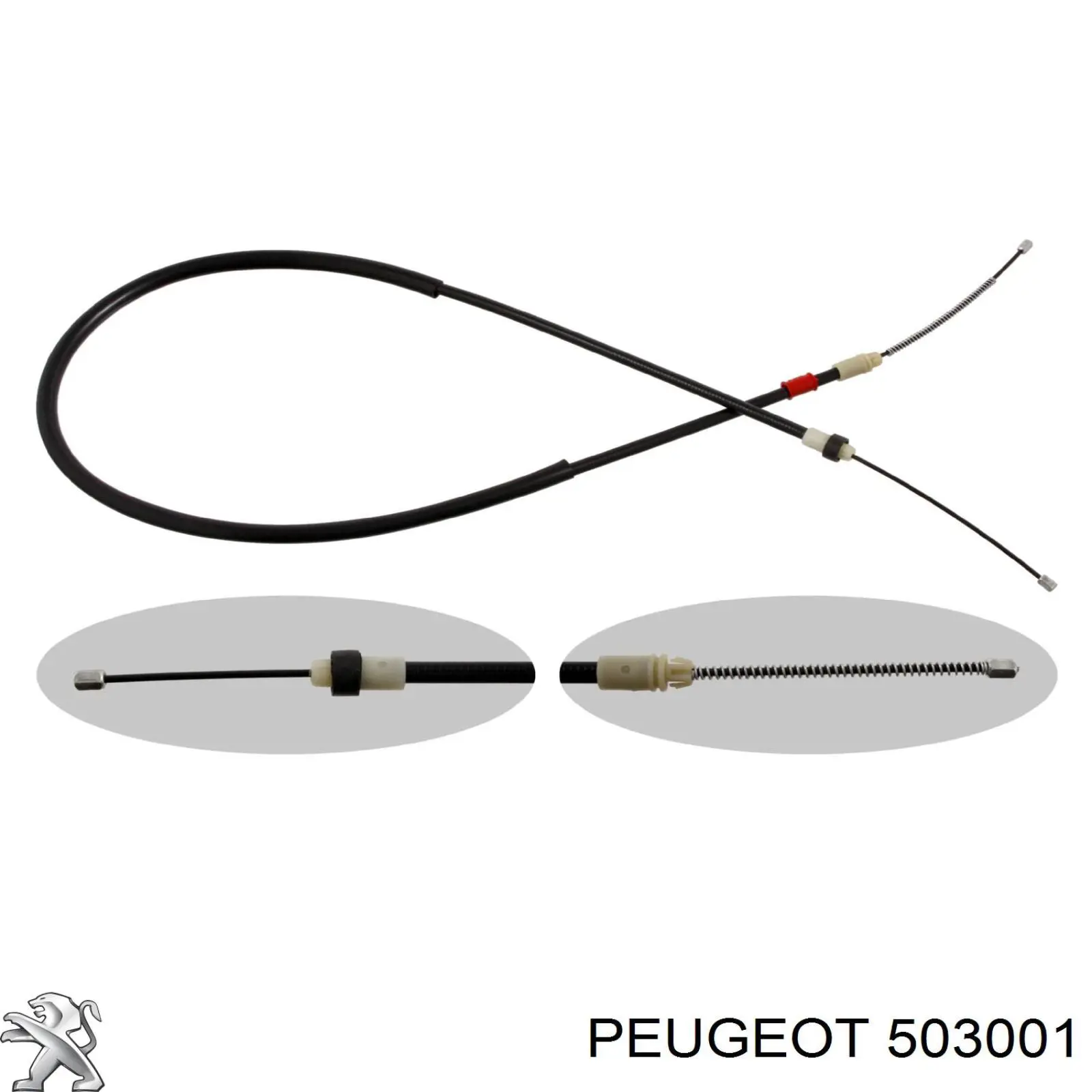 503001 Peugeot/Citroen 