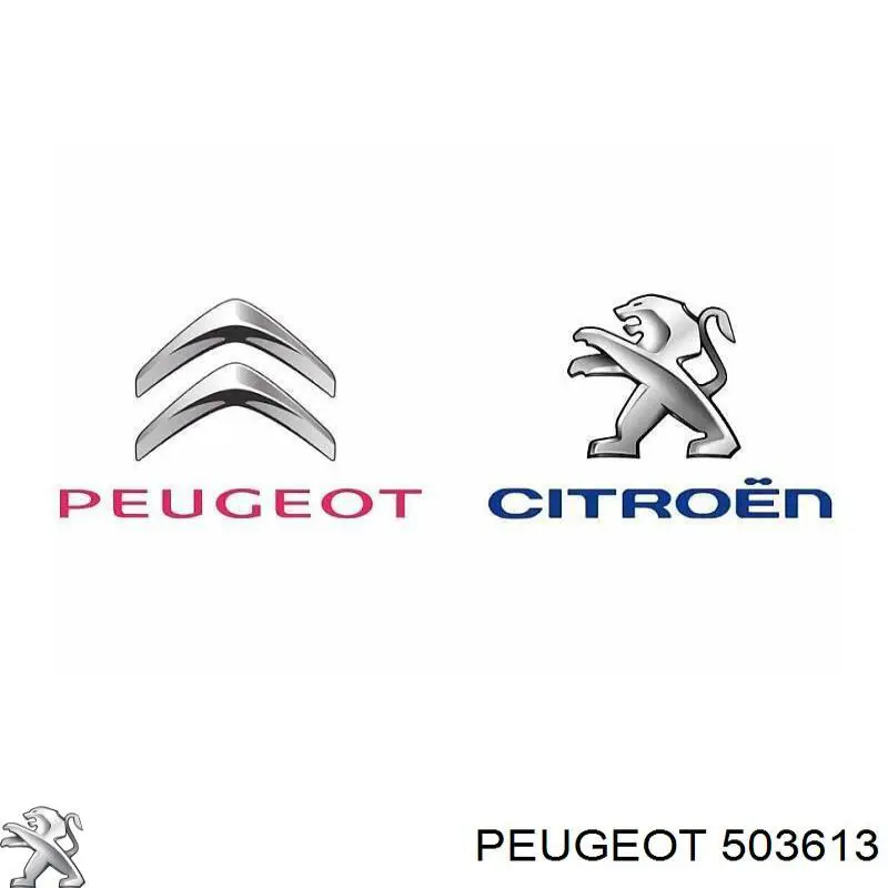 503613 Peugeot/Citroen 