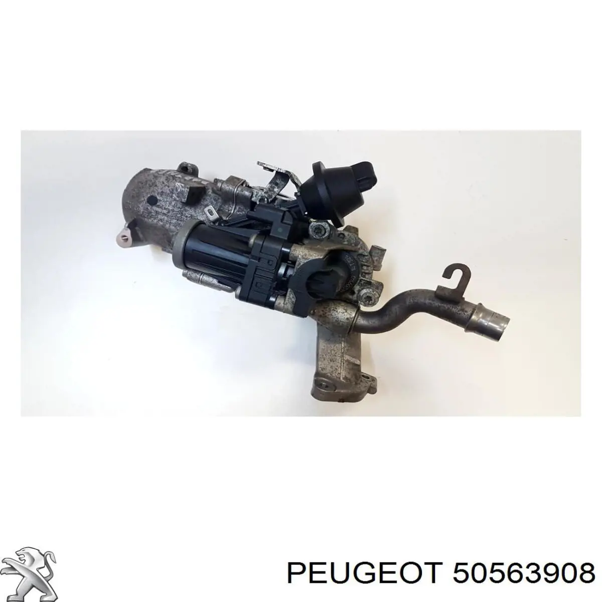 Купить 50563908 Peugeot/Citroen 